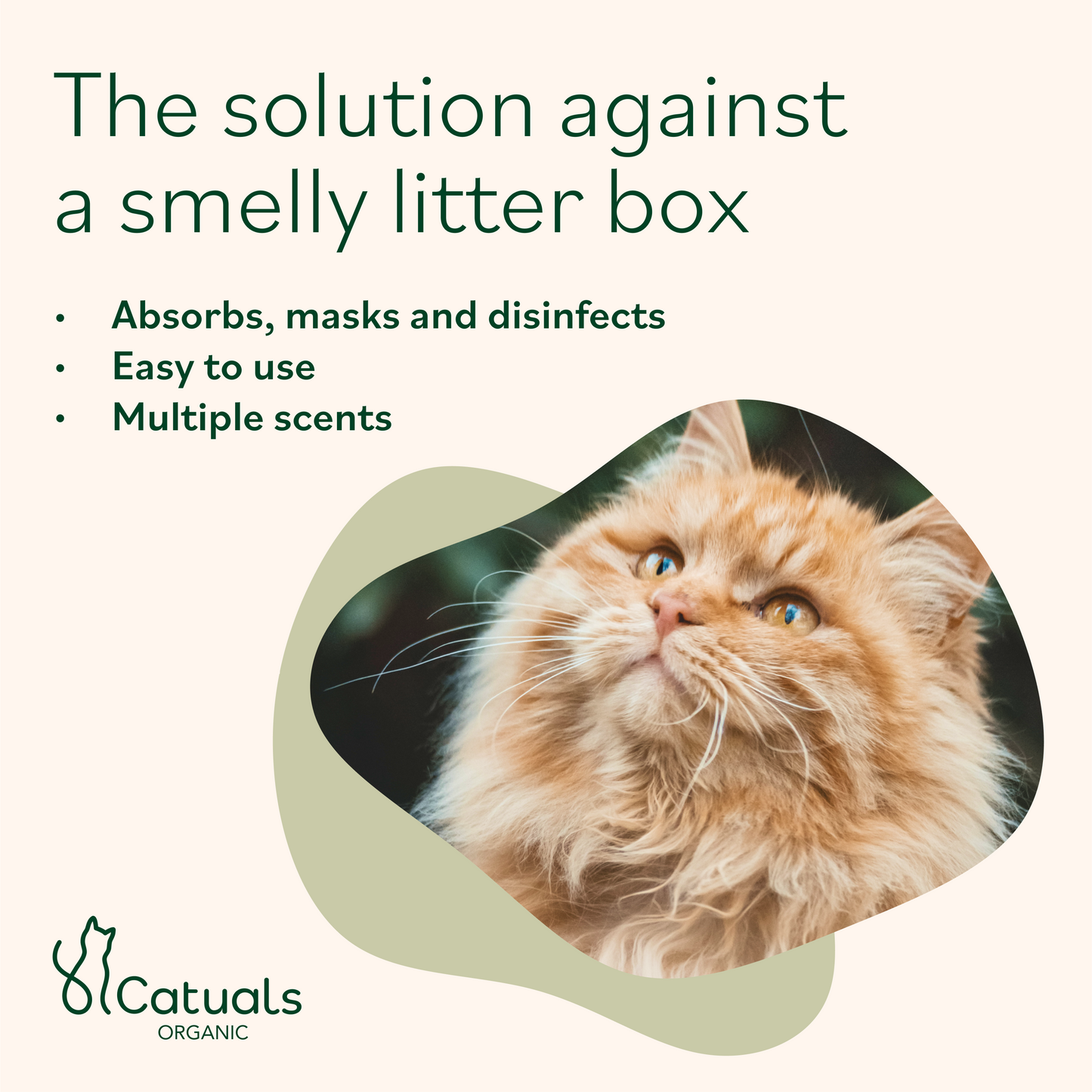 Organic Cat Litter Deodorizer Dill