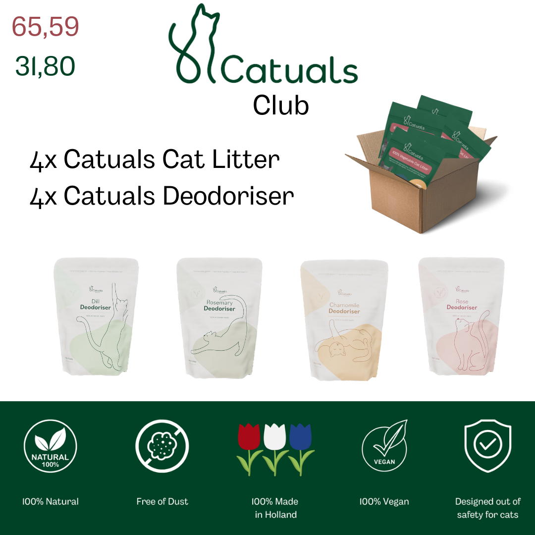 Catuals Club Box